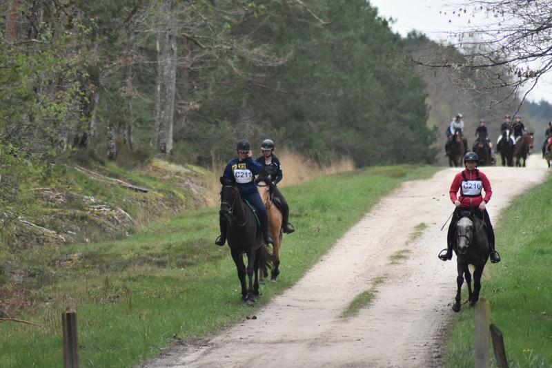 Championnat Départemental et Regional d'Endurance Equestre