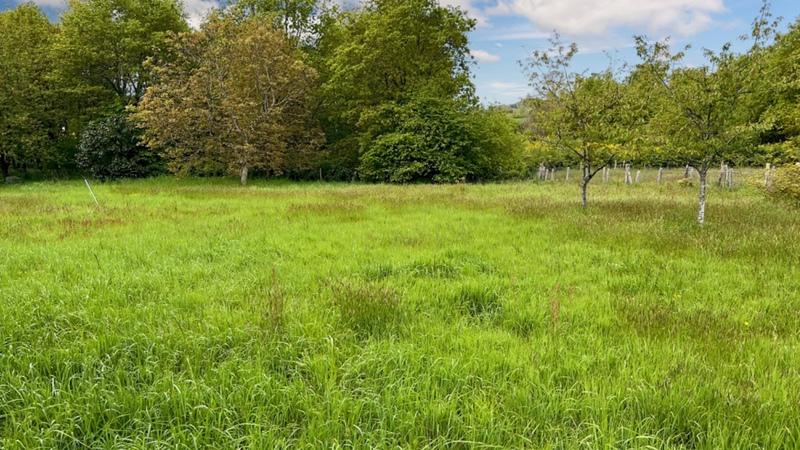 Terrain constructible - 1 446 m²