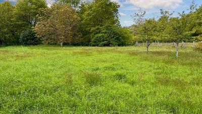 Terrain constructible - 1 446 m²