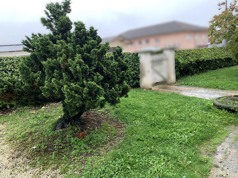 Local d'activité / Entrepôt - 647 m² - 5 pièces