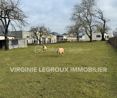Terrain - 1 049 m²