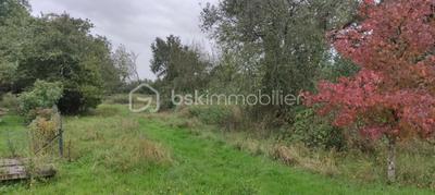 Maison ancienne - 114 m² - 5 pièces