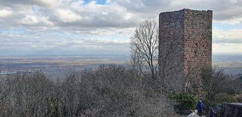Club Vosgien : Hagueneck et les trois châteaux