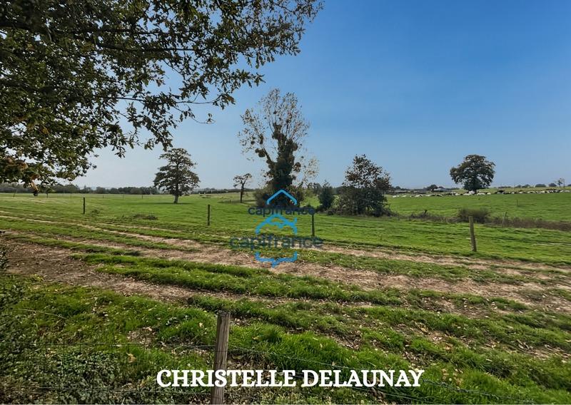 Fermette - 110 m² - 5 pièces