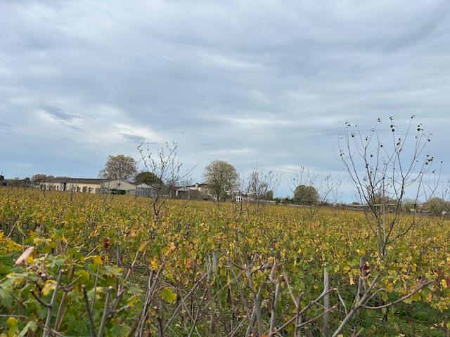 Terrain constructible - 286 m²