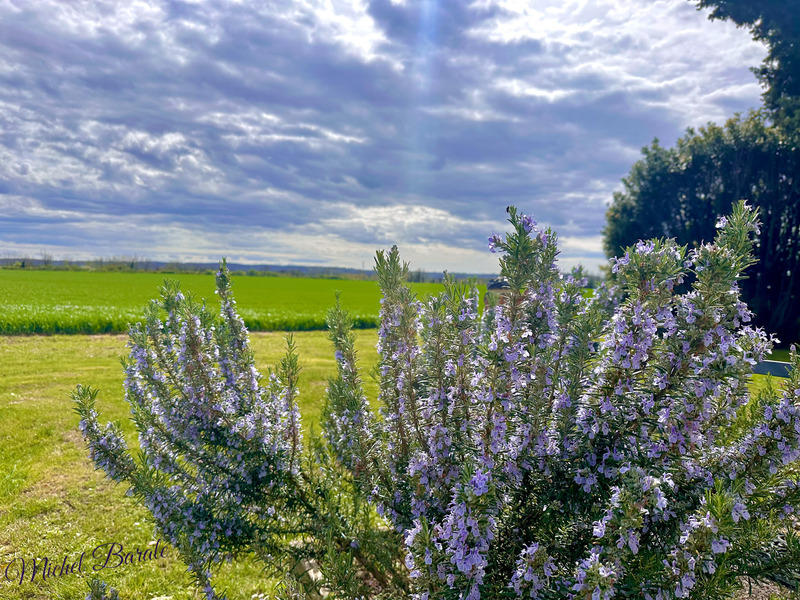 Maison - 197 m² - 6 pièces