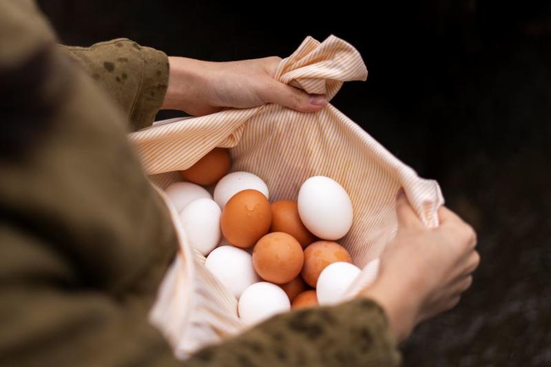 Chasse aux oeufs pour les grands