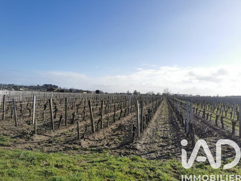 Château - 90 m² - 8 pièces