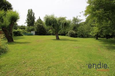 Maison - 146 m² - 7 pièces