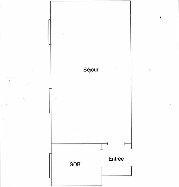 Studio - 24 m² - 1 pièce