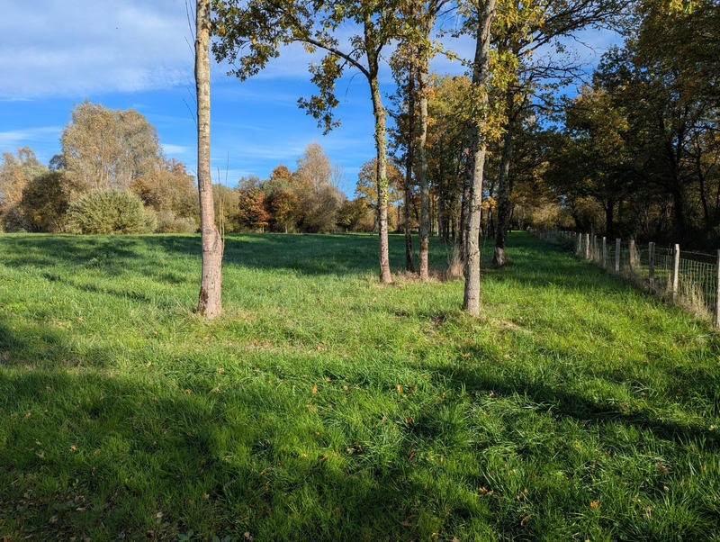 Terrain - 20 387 m²