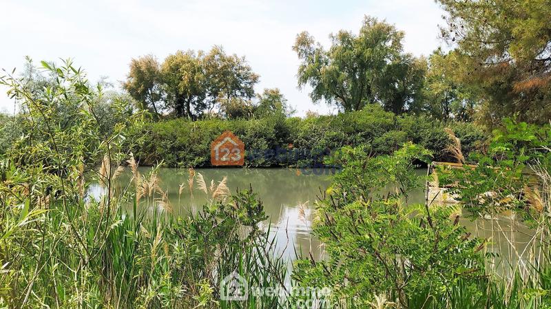 Maison - 320 m² - 10 pièces