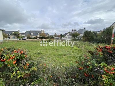 Terrain - 338 m²