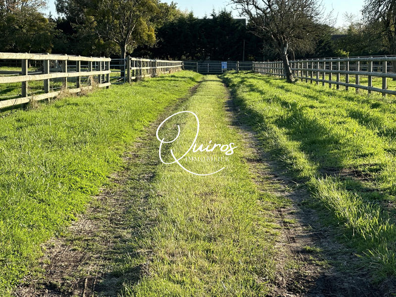 Maison - 290 m² - 8 pièces