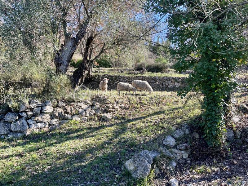 Maison traditionnelle - 85 m² - 3 pièces