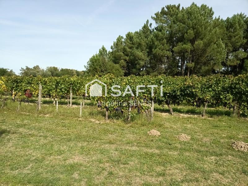 Maison - 700 m² - 6 pièces