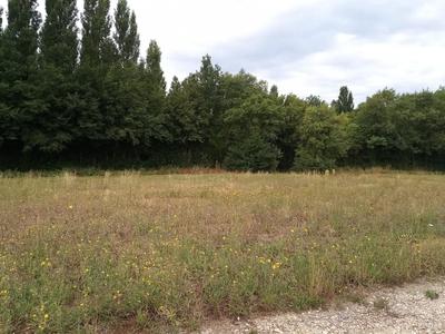 Terrain - 782 m²