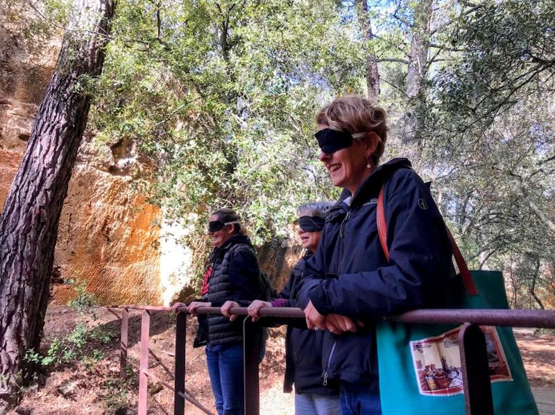 Un matin avec Cezanne à Bibémus