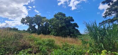 Terrain constructible - 15 220 m²