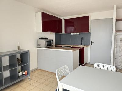 Studio - 24 m² - 1 pièce