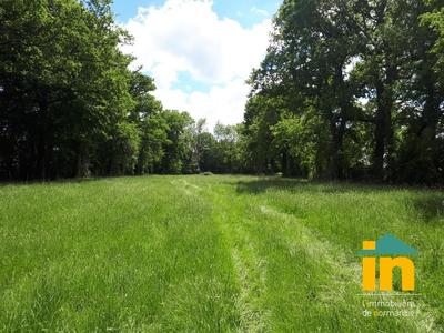 Maison de campagne - 160 m² - 6 pièces