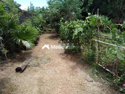 Terrain constructible - 5 300 m²