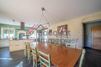 Maison - 300 m² - 9 pièces