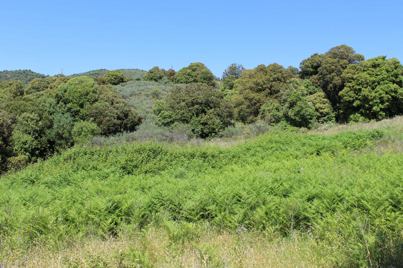 Terrain - 32 300 m²