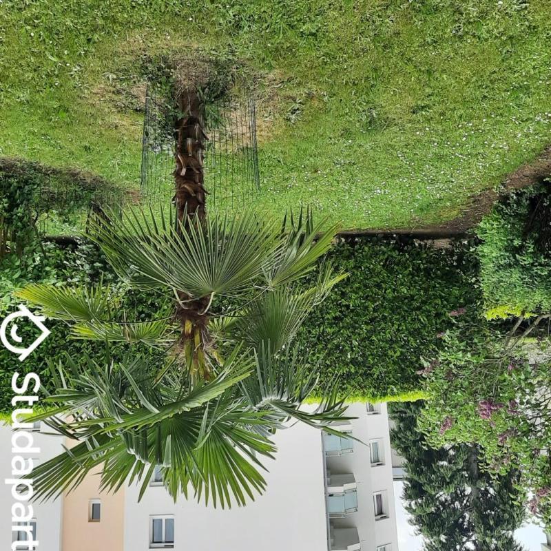 Chambre - 9 m² - 1 pièce