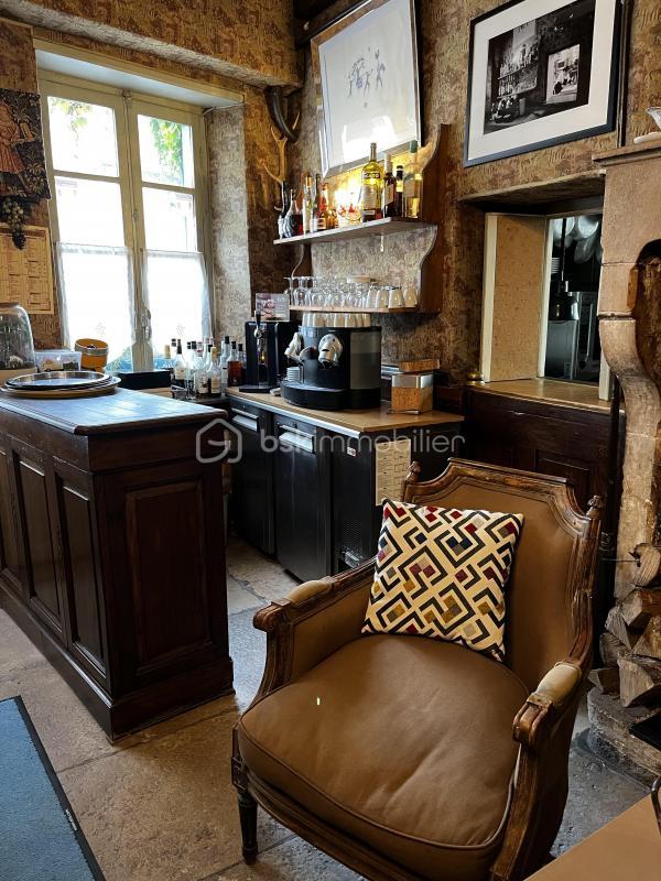 Hôtel particulier - 394 m² - 10 pièces