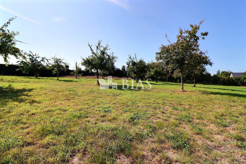 Maison ancienne - 153 m² - 6 pièces