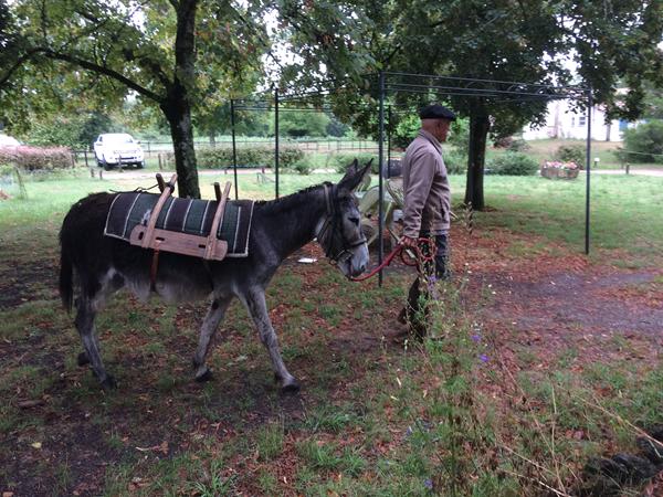 Balade avec un âne bâté