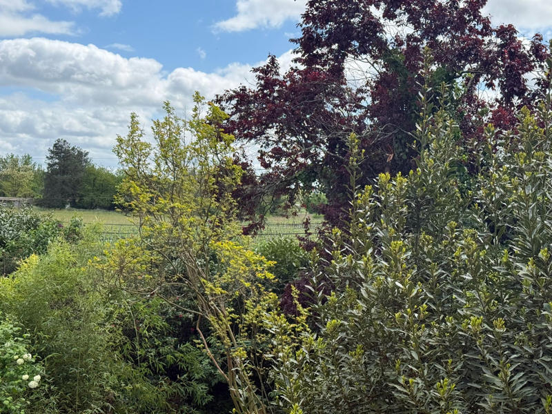 Maison - 151 m² - 4 pièces