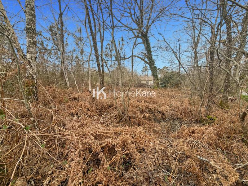 Terrain constructible - 1 053 m²