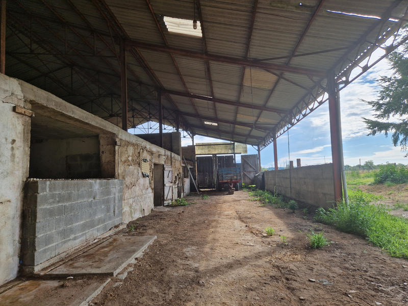 Maison de village - 100 m² - 5 pièces