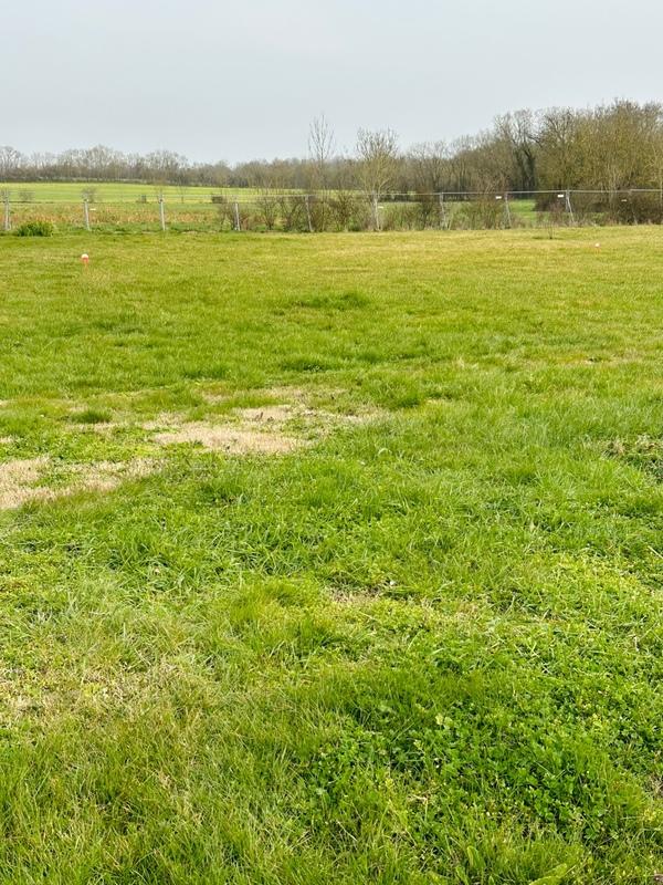 Terrain constructible - 700 m²