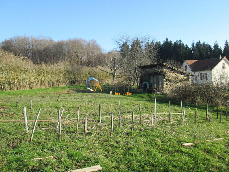 Terrain - 1 031 m²
