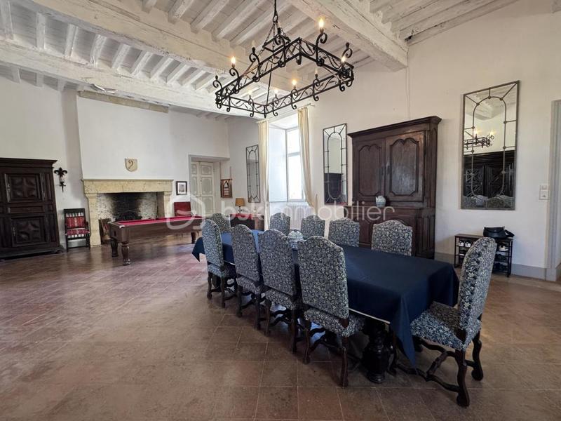 Château - 575 m² - 13 pièces