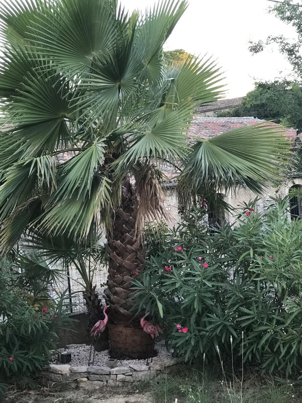 Villa - 98 m² - 5 pièces