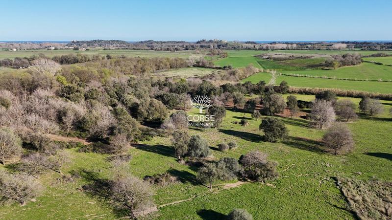 Villa - 95 m² - 4 pièces