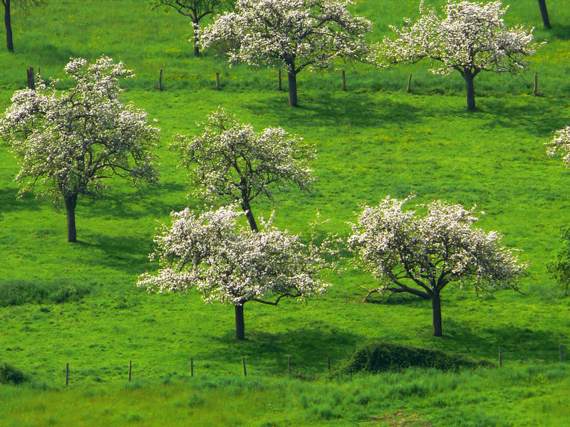 Visite "Bio et Local" au Manoir d'Apreval