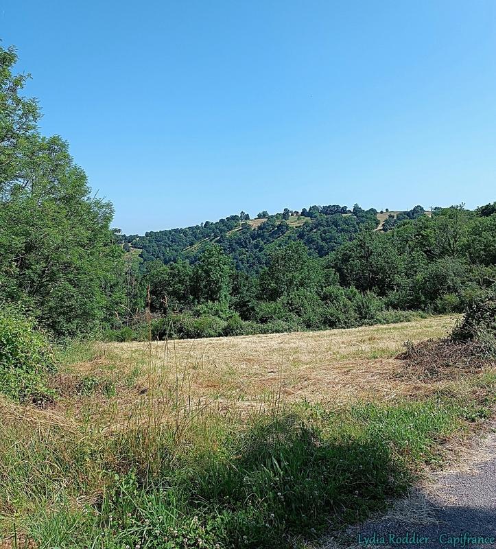 Terrain constructible - 4 580 m²