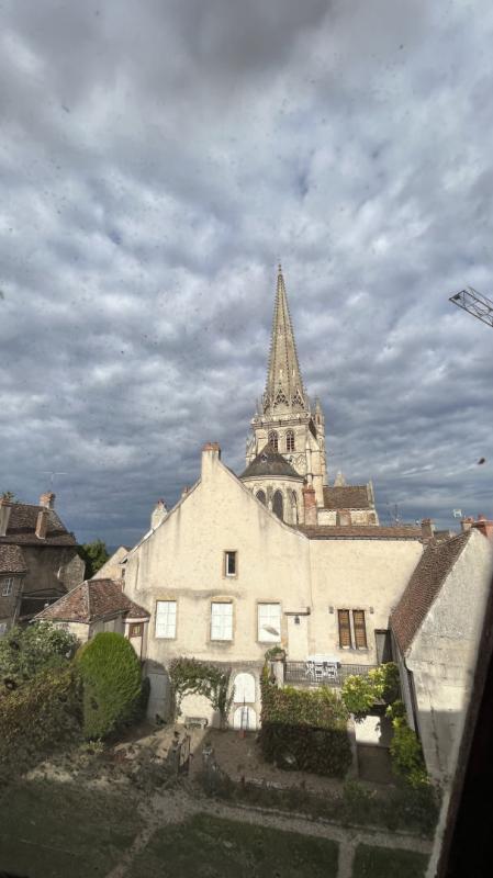 Hôtel particulier - 310 m² - 9 pièces