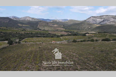 Terrain agricole - 17 590 m²