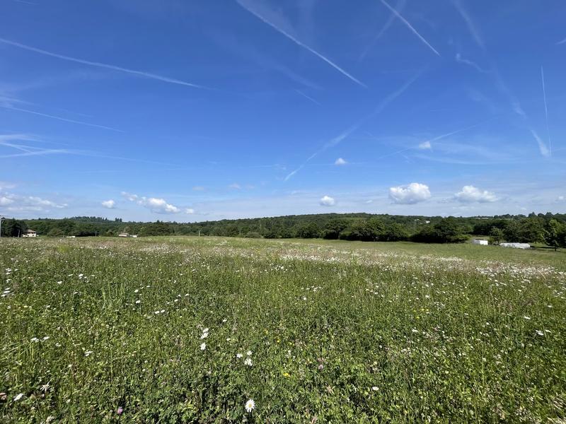 Terrain constructible - 1 566 m²