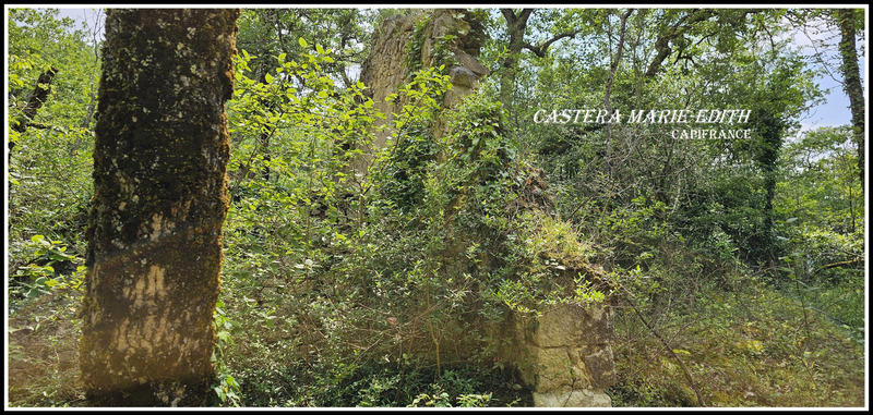 Propriété - 860 m² - 1 pièce