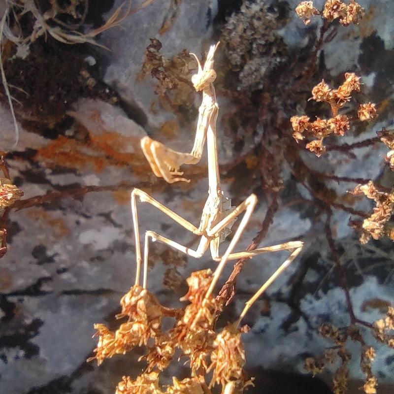 Mardi matin j'ai rando