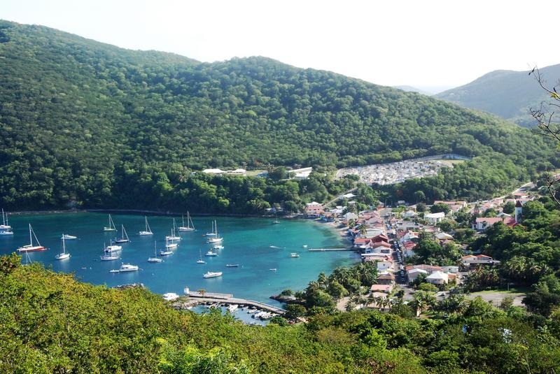 Au jardin des colibris