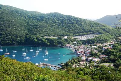 Au jardin des colibris