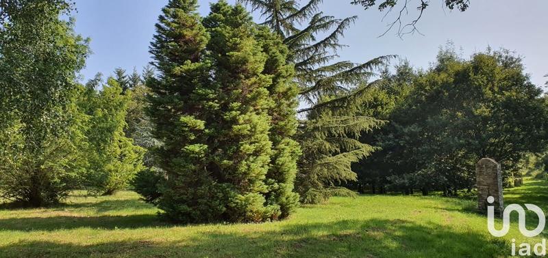 Maison - 146 m² - 5 pièces